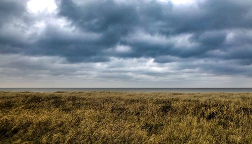 Scenic view of field against cloudy sky