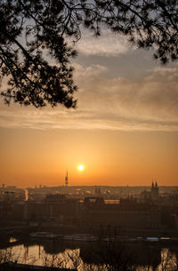 Prague tv tower at sunrise wirh roofs and birds flying