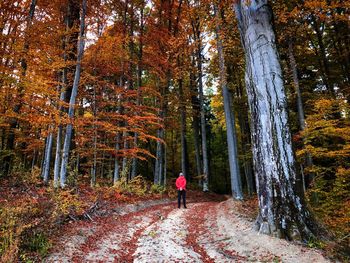 Man standing near tall trees in autumn