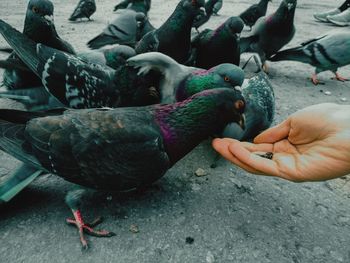 Person eating food