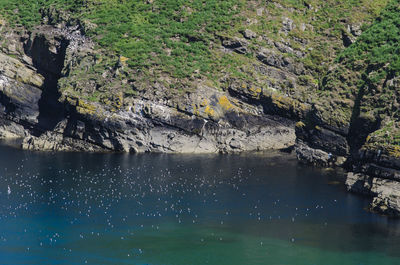 Rocks in sea