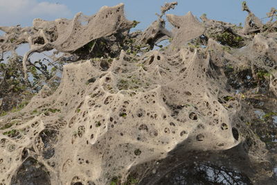 Close-up of sand on beach against sky