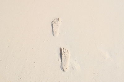 High angle view of footprints on snow