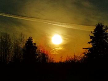 Silhouette trees against sky during sunset