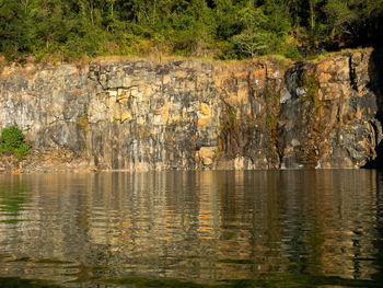 Scenic view of lake in forest