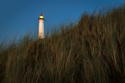 Plants growing on field by lighthouse against sky