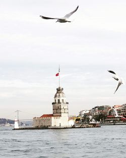 Seagull flying over sea against sky