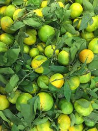 Full frame shot of fruits