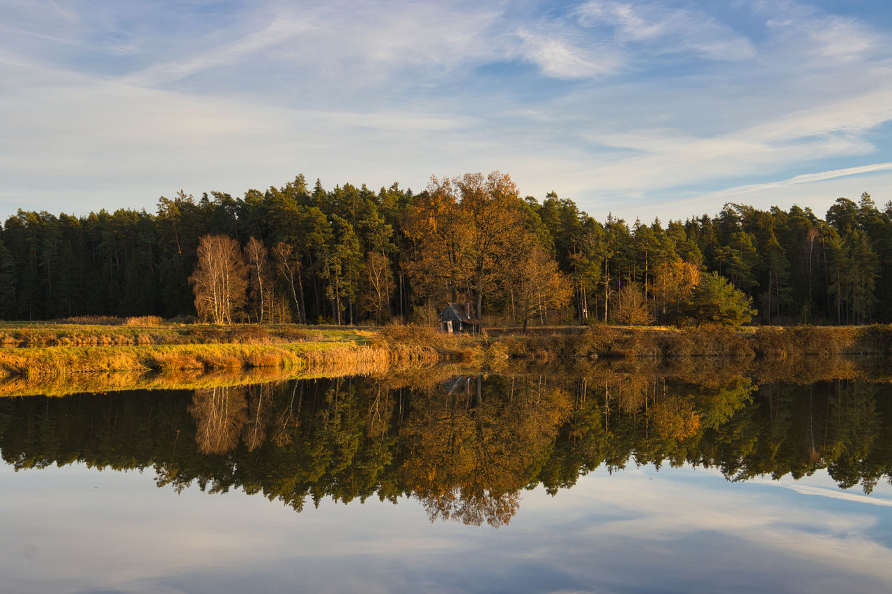 reflection, nature, water, tree, autumn, lake, sky, plant, beauty in nature, landscape, scenics - nature, tranquility, morning, wilderness, leaf, cloud, forest, tranquil scene, no people, environment, land, non-urban scene, outdoors, coniferous tree, woodland, reservoir, pine woodland, pinaceae, mountain, pine tree, travel destinations, day, idyllic, travel, body of water, reflection lake