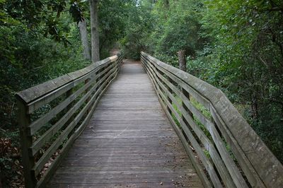 Footbridge in live oak park