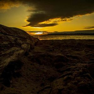 Scenic view of sea at sunset