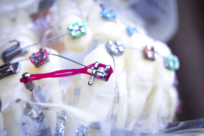 Close-up of artificial teeth