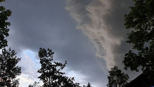 Low angle view of silhouette trees against sky