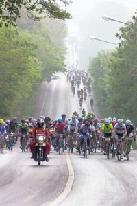 Crowd on road amidst trees