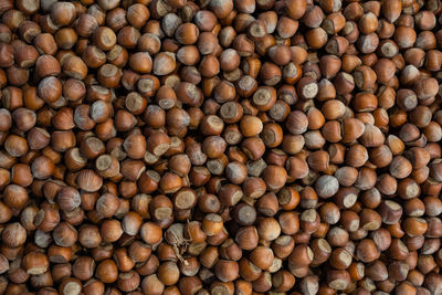 Full frame shot of coffee beans