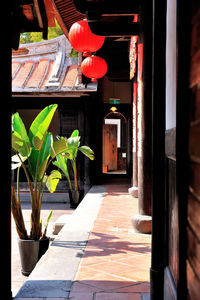 Potted plants hanging outside building