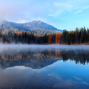 Scenic view of lake in forest against sky