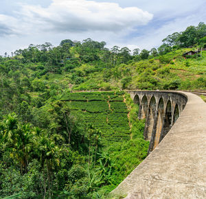 Nine arches