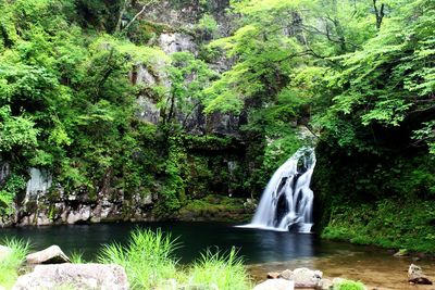 Waterfall in forest