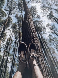 Low section of man on tree trunk