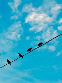 Low angle view of birds perching on street light