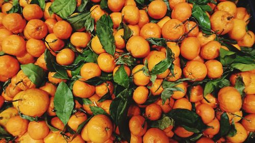 Full frame shot of fruits for sale at market stall