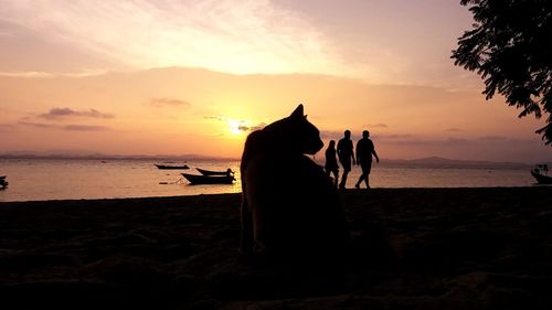 Silhouette people on beach against sky during sunset