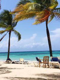 Palm trees on beach