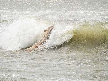 Waves splashing on shore