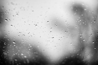 Close-up of rain