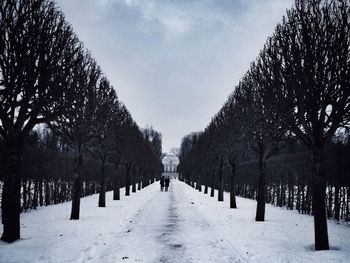 Snow covered trees in park