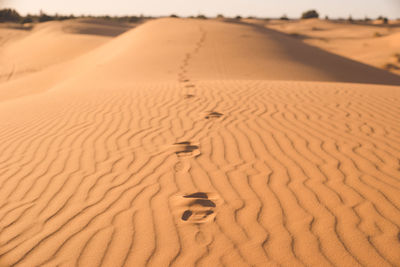 Sand dunes in desert