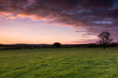 Scenic view of grassy field against cloudy sky