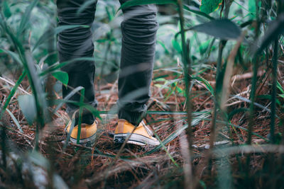 Low section of man standing on ground