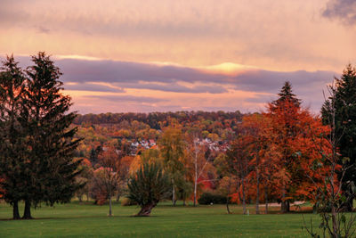 Trees on landscape against sky during autumn