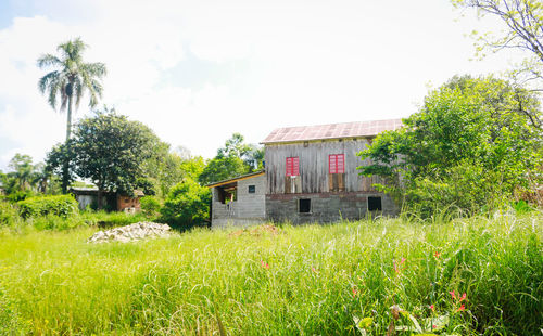 Barn in field against sky