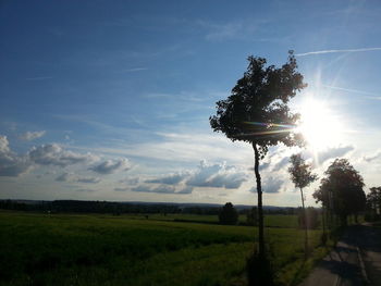 Scenic view of grassy field against sky