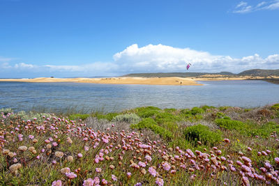 Scenic view of sea against cloudy sky