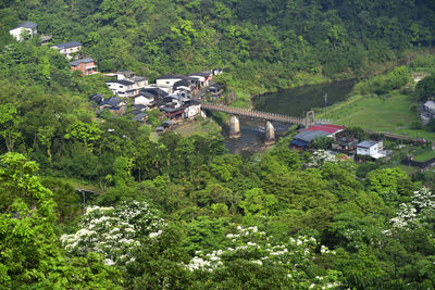 High angle view of trees and buildings