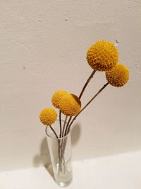 Close-up of sunflowers in vase