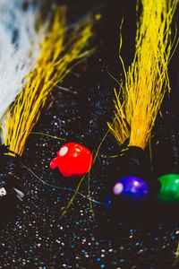 Close-up of multi colored christmas decoration