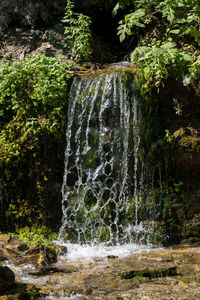 Scenic view of waterfall in forest