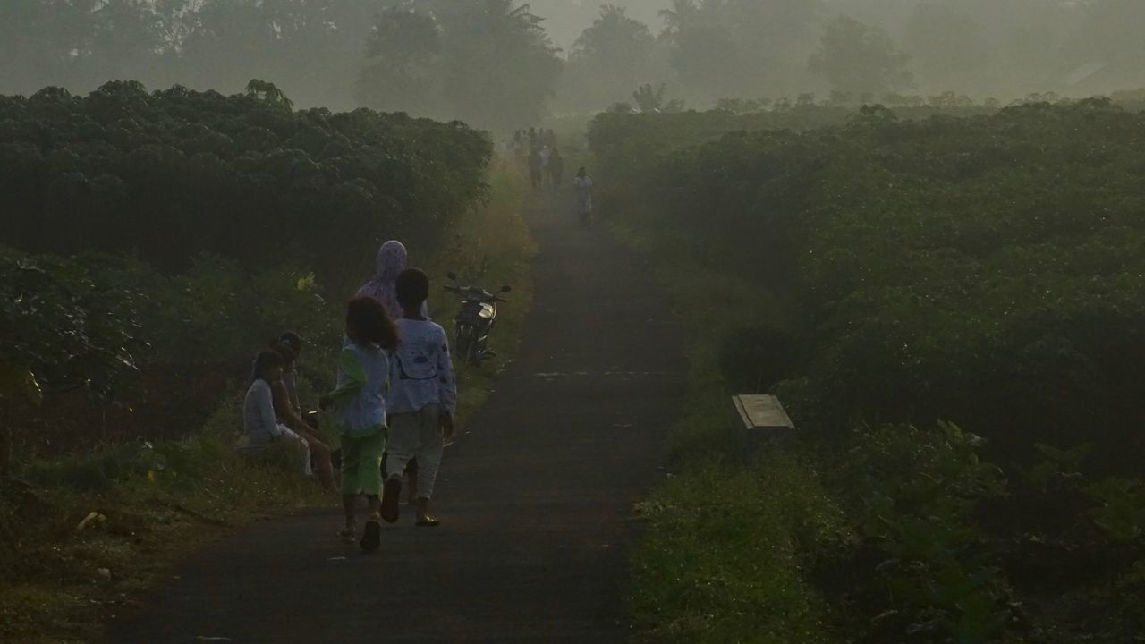 REAR VIEW OF PEOPLE WALKING ON GRASS