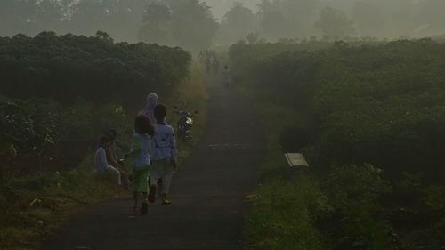 Rear view of people walking on grass against sky