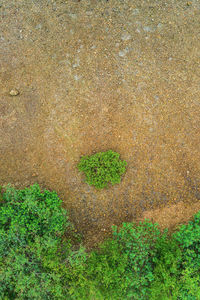 High angle view of heart shape on grass
