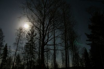 Low angle view of bare trees against sky