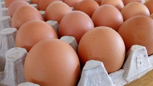 Eggs on tray case