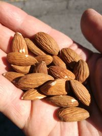 Close-up of hand holding bread