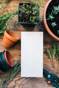 High angle view of potted plant on table