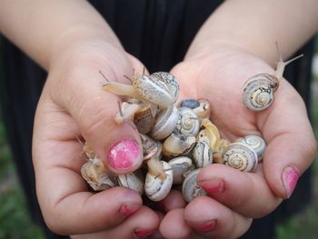 Close-up of hand holding animal head